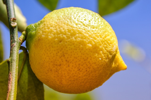 lemon