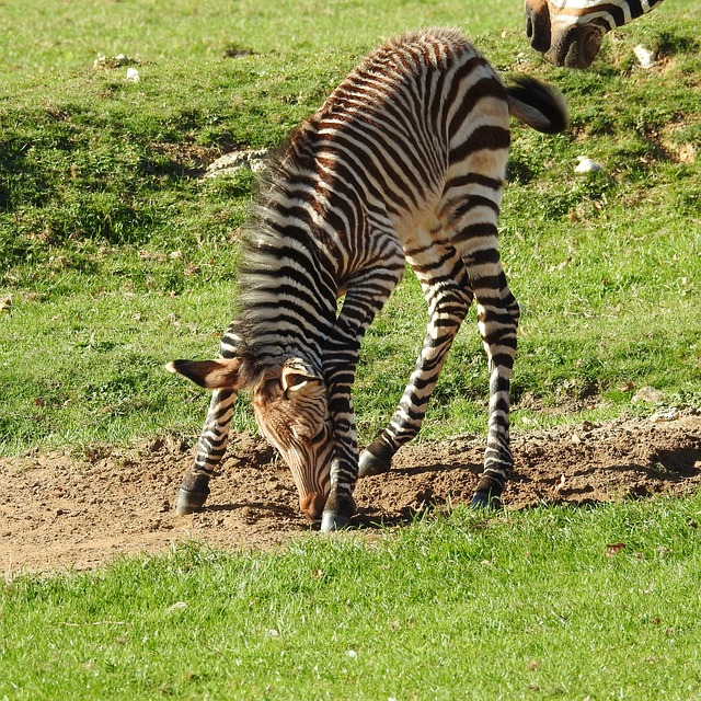 stretching